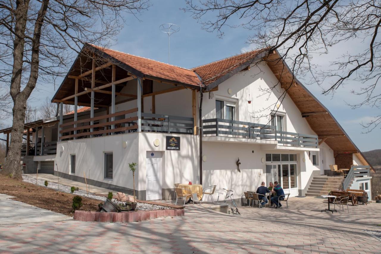 Konak Ljubica Rtanj Boljevac エクステリア 写真