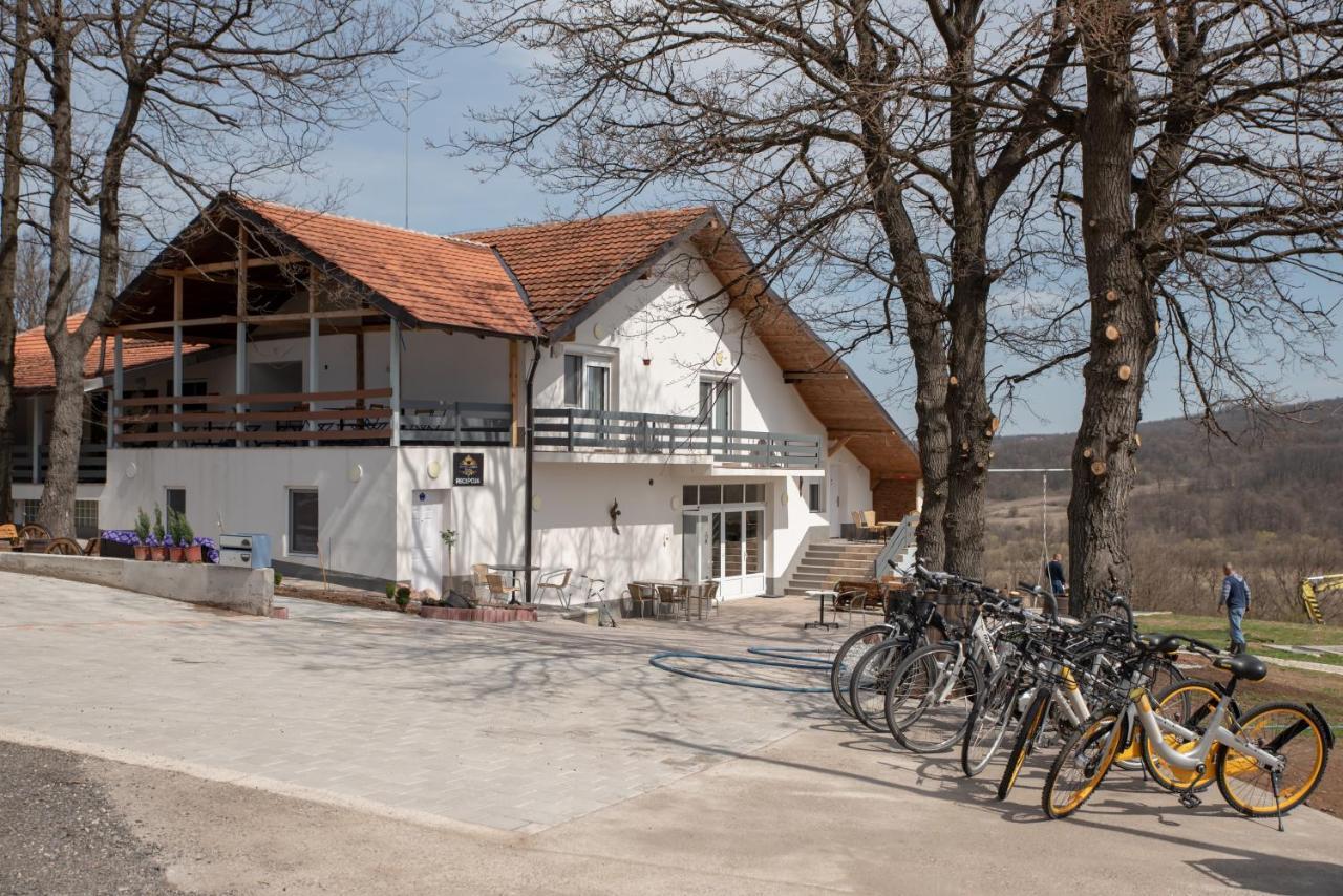 Konak Ljubica Rtanj Boljevac エクステリア 写真